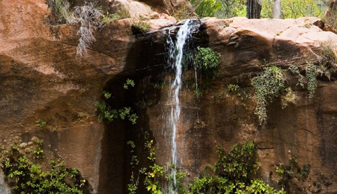 zion-park-waterfall-emerald zion-park-waterfall-emerald