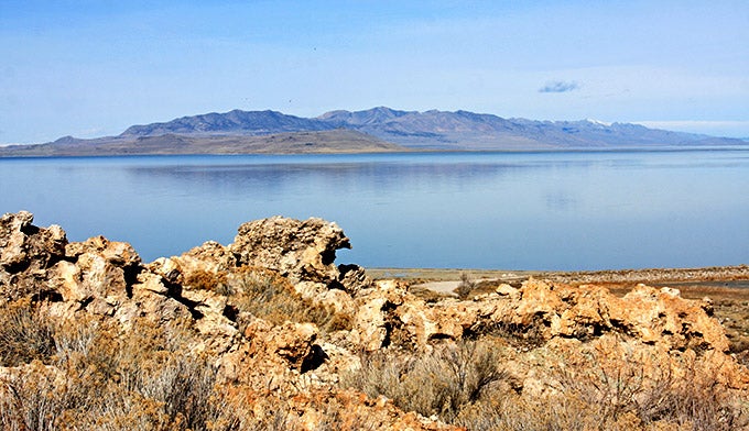 are dogs allowed on antelope island