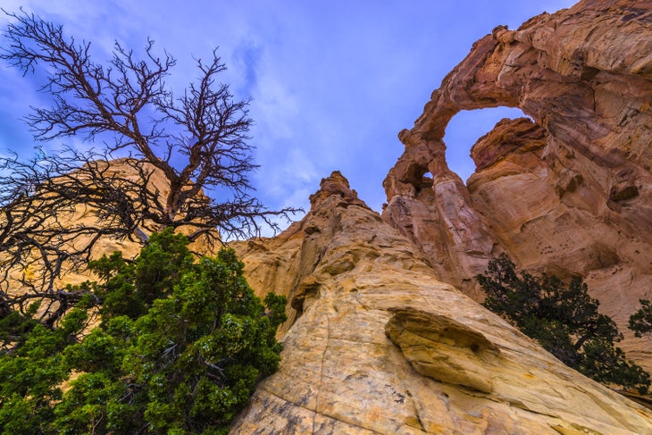 Grosvenor Arch in Grand Staircase-Escalante National Monument