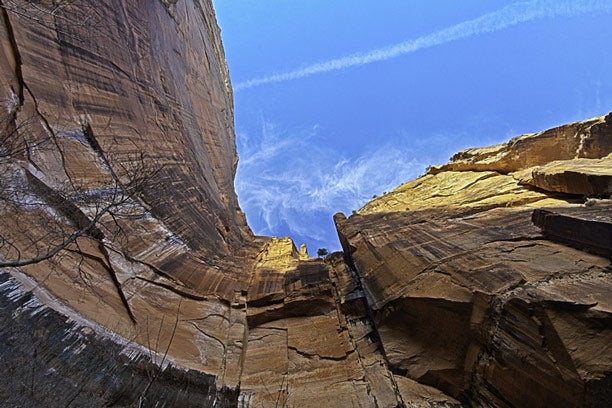 Z-Canyon_TamMichaelKochmanski_612 Zion Canyon