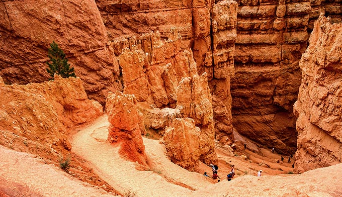 Bryce-Navajo-Loop-Trail_DP_680 The Navajo Loop Trail in Bryce Canyon National Park
