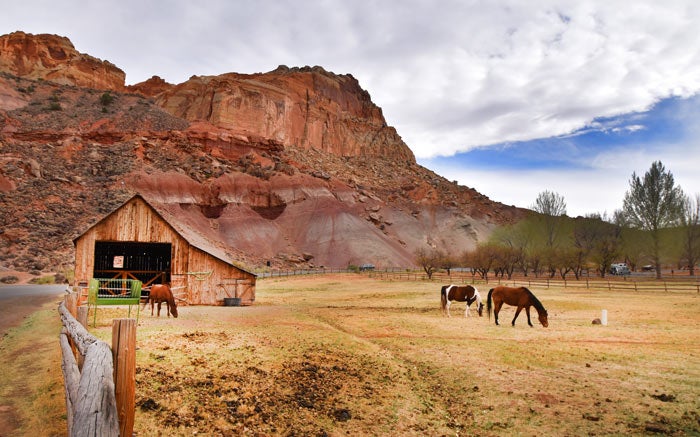 CapitolReef-FruitaBarn_Gloria_700 The Gifford Farm in Fruita, Capitol Reef National Park