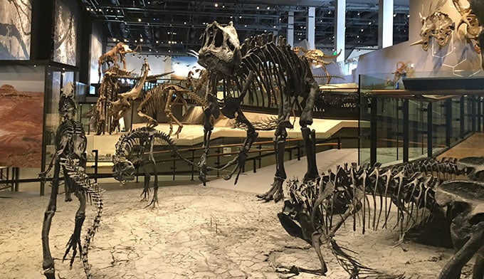 UT-Natural-History-Museum-5_DKrause_680 Natural History Museum of Utah in Salt Lake City