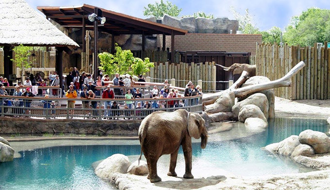 Salt-Lake-Hogle-Zoo_UtahOfficeOfTourism_680 The Hogle Zoo in Salt Lake City