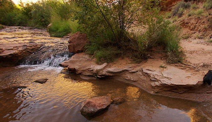 UT-Negro-Bill-Canyon_FlickrRandyPeters-edit_680 Stream in Grandstaff Canyon near Moab, Utah. Photo by Randy Peters