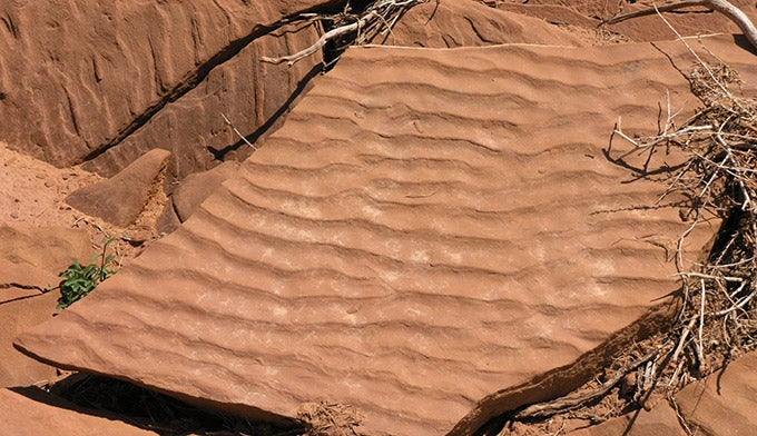 CapitolReef-Moenkopi-ripple-scenic-drive_WikiDanielMayer_680 Ripple marks in Moenkopi Formation rock off of Capitol Reef Scenic Drive