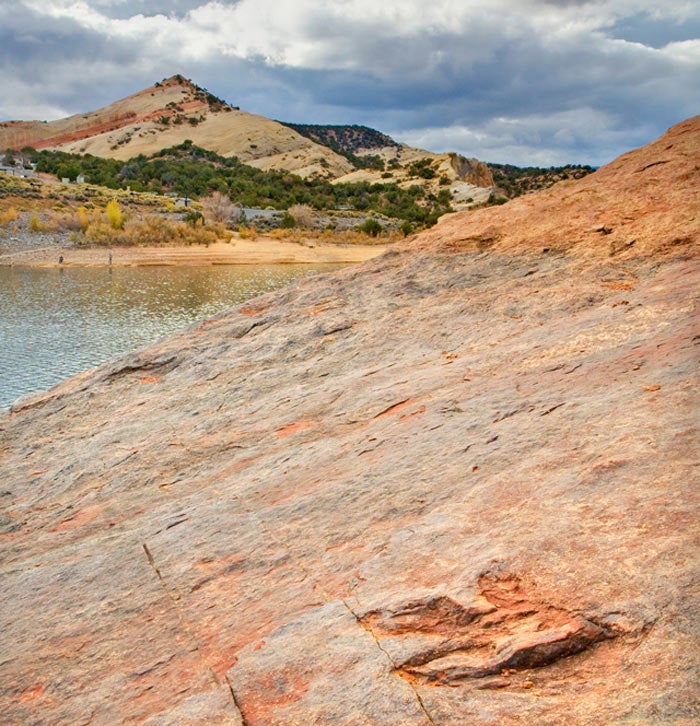 A dinosaur track at Red Fleet State Park