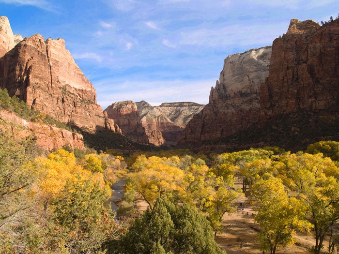 Zion-Canyon-autumn_NPSChristopherGezon_700 Cottonwood trees blanket the floor of Zion Canyon and turn a golden color in autumn