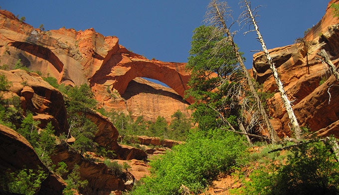 Z-Kolob-Arch_NPSRendallSeely_680 Kolob Arch in Zion's backcountry may be the second longest in the world. NPS Photo/Rendall Seely