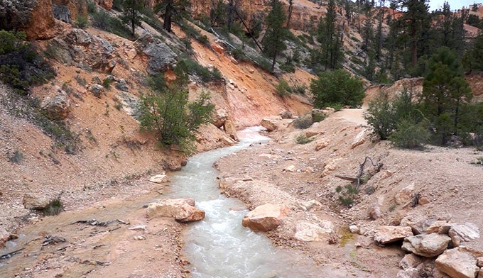 Bryce-Mossy-Cave-stream_ElisabethKwak_680 Stream on Mossy Cave Trail in Bryce Canyon National Park. Photo by Elisabeth Kwak