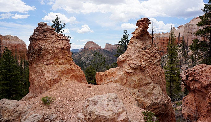 Bryce-Sheep-Creek-6_ElisabethKwak_680 Sheep Creek Connecting Trail in Bryce Canyon's Swamp Canyon. Photo by Elisabeth Kwak