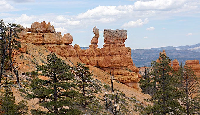 Bryce-Sheep-Creek-9_ElisabethKwak_680 Sheep Creek Connecting Trail in Bryce Canyon's Swamp Canyon. Photo by Elisabeth Kwak