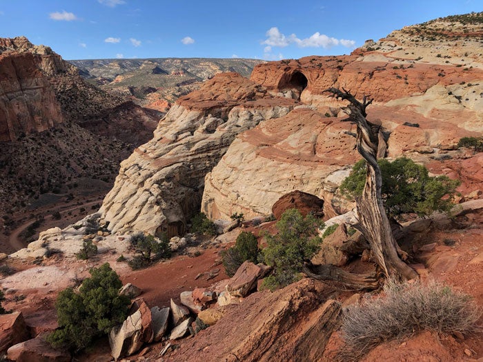 CapitolReef-CassidyArch-aerial_NPS_700 Cassidy Arch in Capitol Reef National Park
