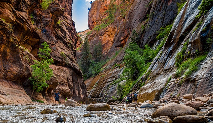 Z-narrows-hikers_DP_680 Hiking in the Narrows, a river canyon in Zion National Park