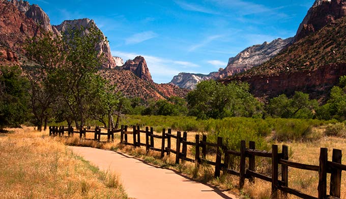 are dogs allowed in zion park