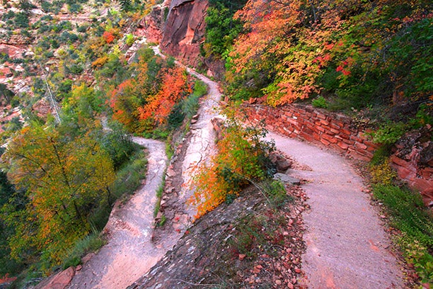 Zion-HIdden-Canyon-Trail-autumn_DP_612 Autumn on the Hidden Canyon Trail in Zion National Park