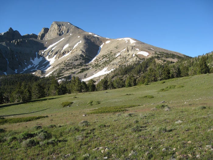 GreatBasin-WheelerPeak-Meadow_FlickrJBrew_700v An alpine meadow, seen on the hike up to Wheeler Peak, in Great Basin National Park