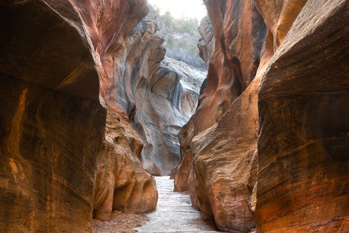 Willis Creek Slot Canyon