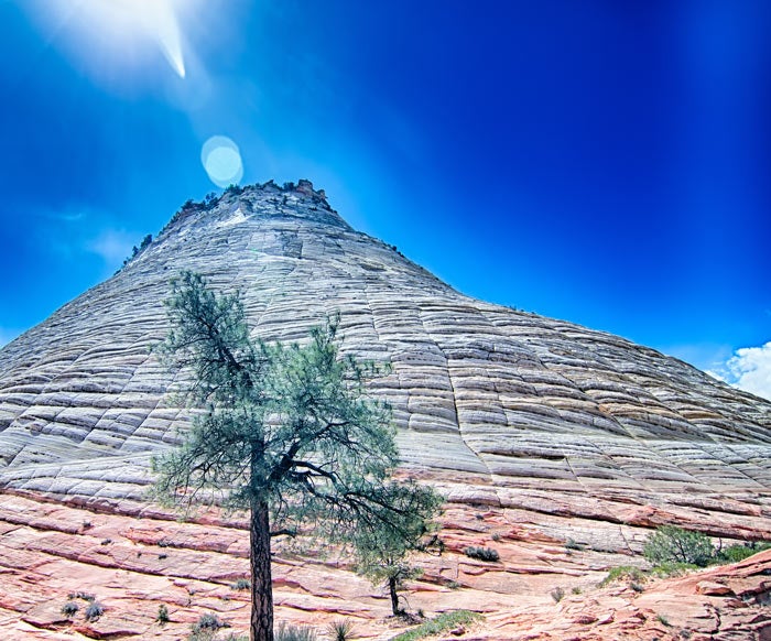 Z-Checkerboard-Mesa_Adobe_700v Checkerboard Mesa in Zion National Park