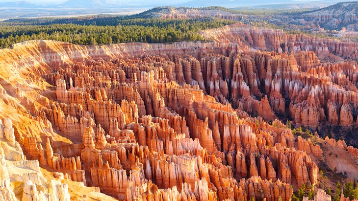 Hoodoos in Bryce Canyon and Zion National Parks