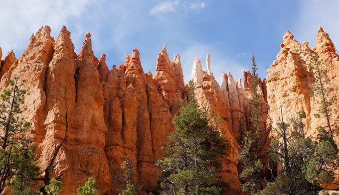 Bryce-Navajo-Loop-Spires_ElisabethKwak_680 Rock spires on the Navajo Loop Trail in Bryce Canyon National Park. Photo by Elisabeth Kwak