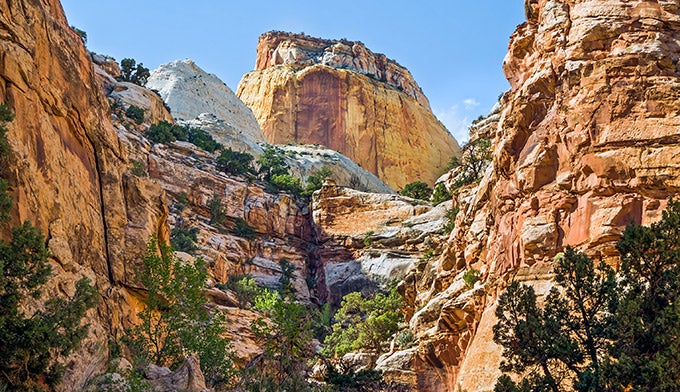 Capitol-Reef-Golden-Throne_DP_680 The Golden Throne in Capitol Reef National Park