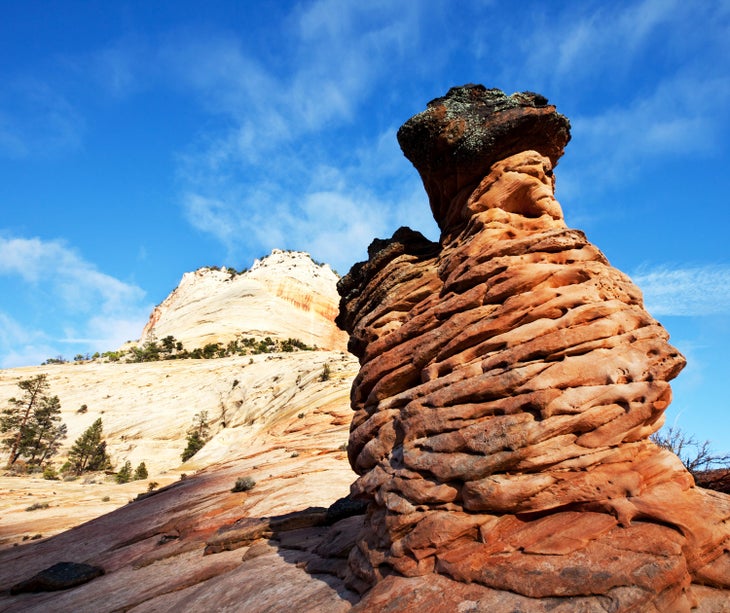 Hoodoo sandstone rock formation in Zion National Park