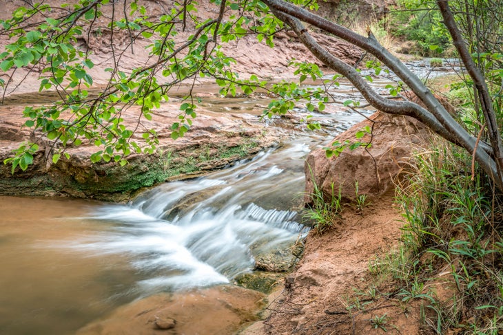 Shady stream in Grandstaff Canyon, previously call Negro Bill Canyon, Utah