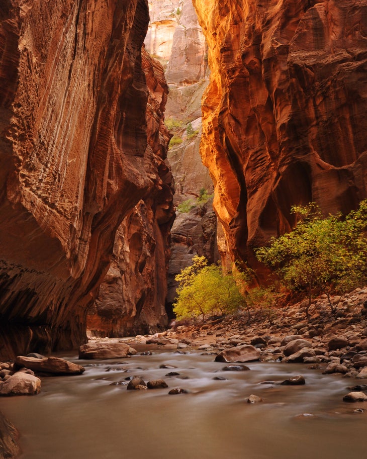 Autumn in the Zion Narrows