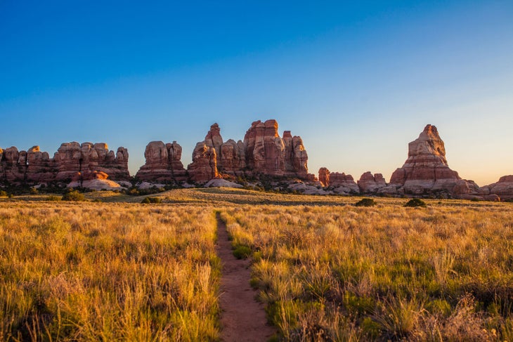 Trail in Chesler Park in the Needles section of Canyonlands National Park