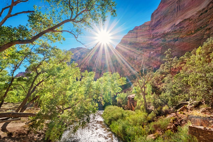 The summer sun bounces off the Virgin River in Zion National Park