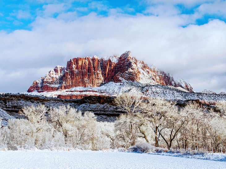 Winter in Zion Canyon with a view of the tree-shaded Virgin River and Mt. Kinesava