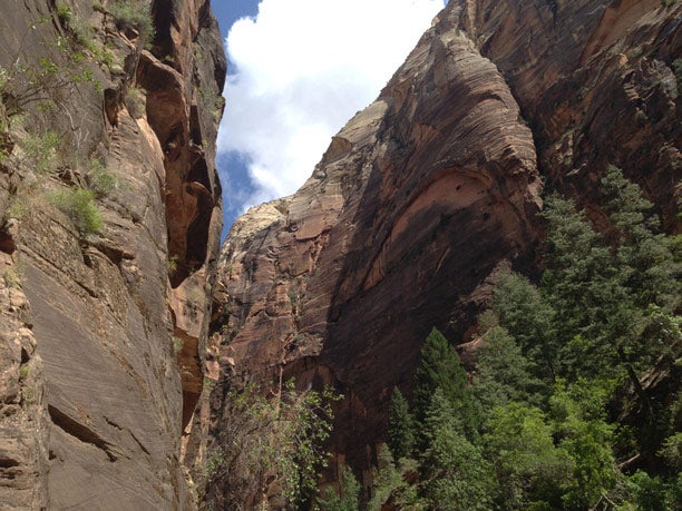 Z-Canyon-Walls_TamAndrewGordon_612 Zion Canyon Walls by Andrew Gordon