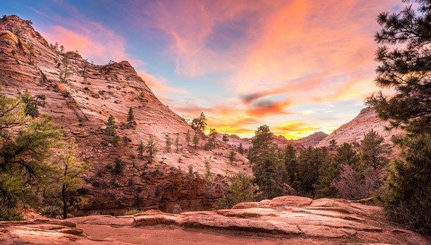 Zion-Sunset_TamAdamGaeth_612 Zion Pink Sunset by Adam Gaeth