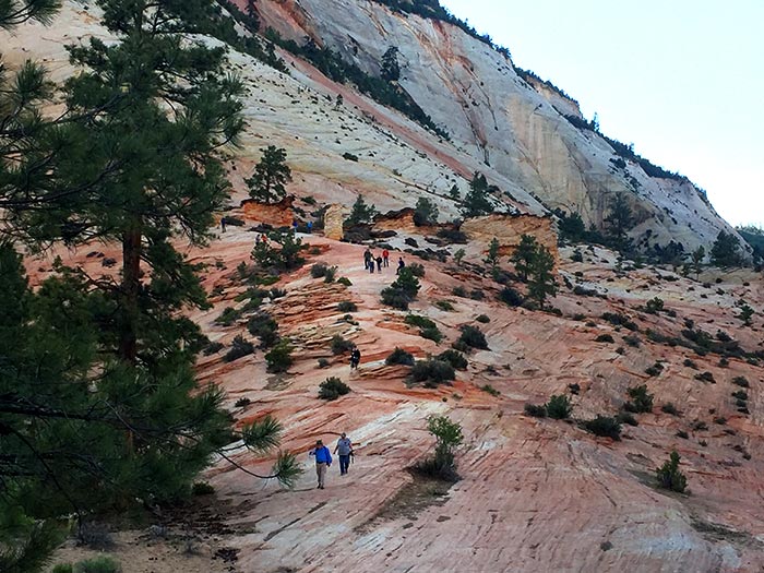 Zion-Workshop-CheckerboardMesa-walk_DaveKrause_700v The walk back from Zion's Checkerboard Mesa